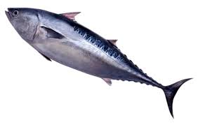pescadito